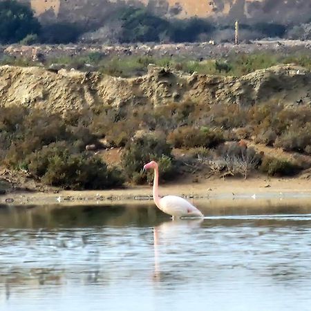 El Pozo del Cabo Flamingos View Apartment In Cabo De Gata מראה חיצוני תמונה
