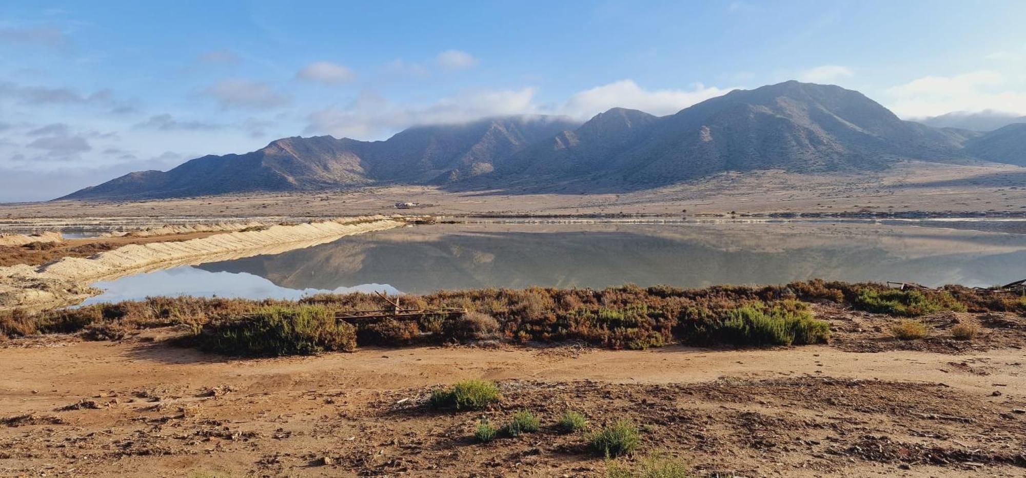 El Pozo del Cabo Flamingos View Apartment In Cabo De Gata מראה חיצוני תמונה