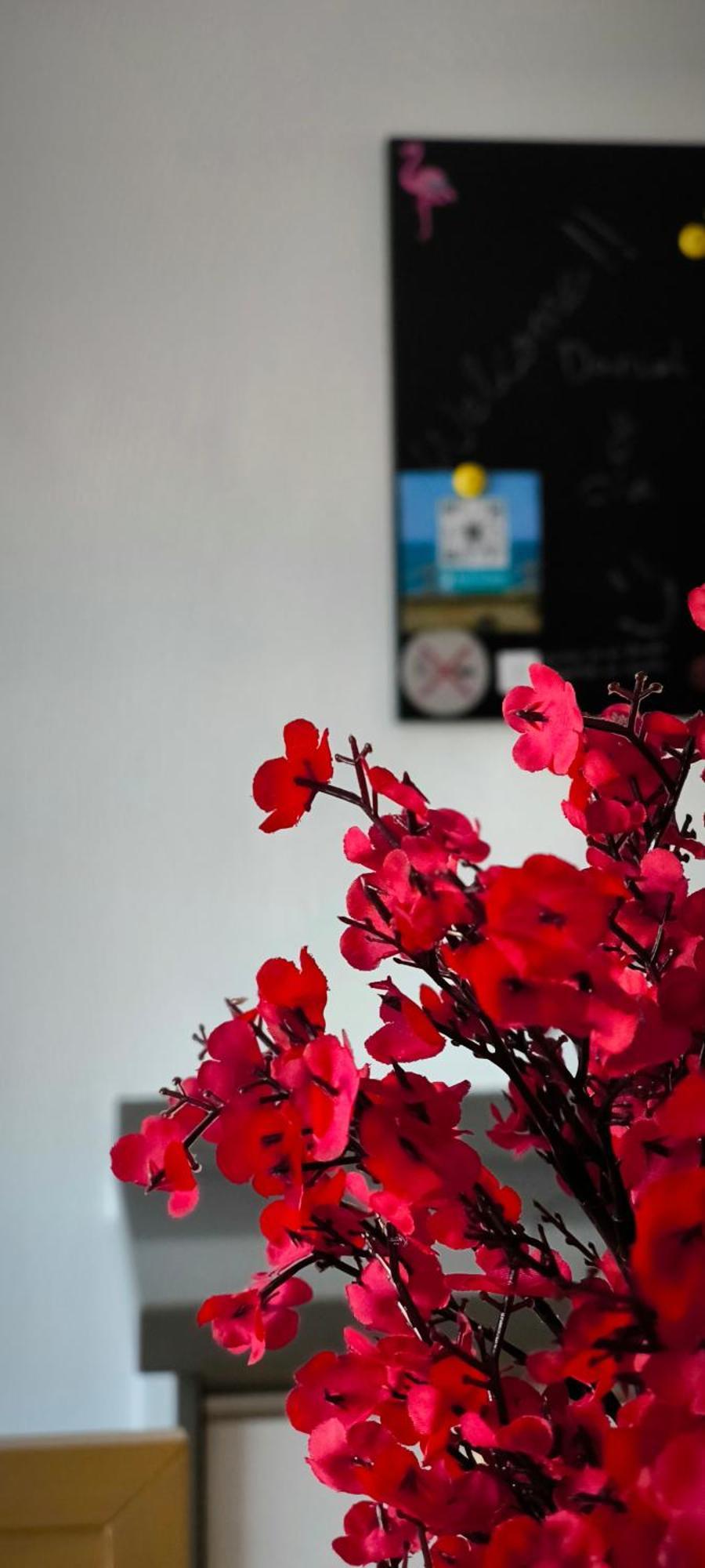 El Pozo del Cabo Flamingos View Apartment In Cabo De Gata מראה חיצוני תמונה